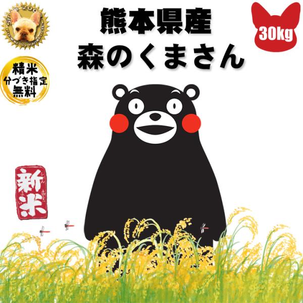 令和7年　くまさんの輝き　30kg 森のくまさん 九州熊本産 くまさんの輝き 令和7年産 玄米 30kg 精米