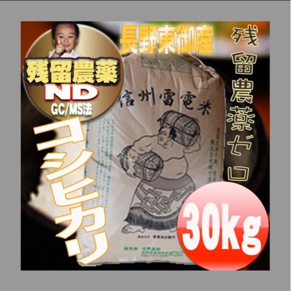 コシヒカリ 令和7年産 長野県東御産 玄米 30kg 残留農薬ゼロ 精米＆分