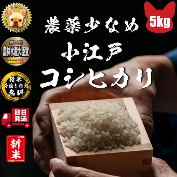 ߘaUNnꂽ _򏭂Ȃ ] RVqJ  5kg Ė