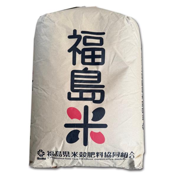 群馬県産 とちぎの星 R6年産 新米 30キロ 玄米 送料込 お米 30kg 米 とちぎの星 令和6年 栃木県産 業務用米 まとめ買い