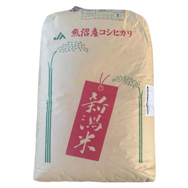 コシヒカリ 令和6年産 新潟魚沼コシヒカリ 玄米30kg 津南町産 特栽減減