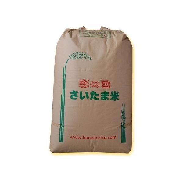 ߘa6N  󂠂菬]ˌ30kg Ė