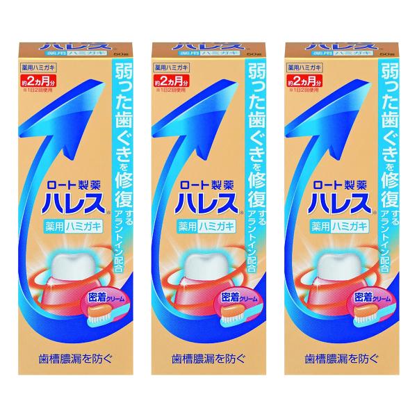 ハレス ハミガキ (50g)×3個セット 医薬部外品 メール便送料無料
