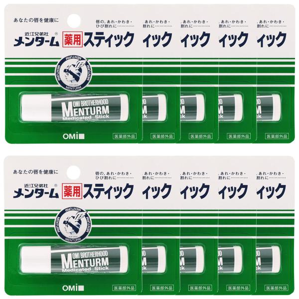 メンターム 薬用スティック レギュラー 4g×10個セット : くすりの勉強
