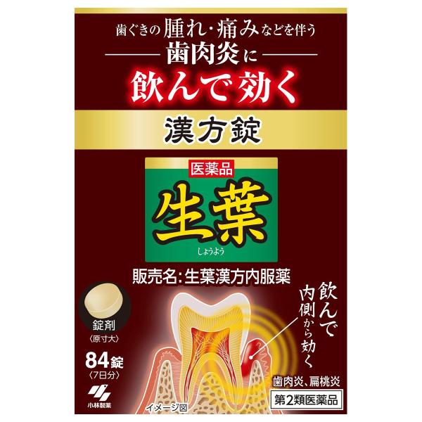 他サイト： 【第2類医薬品】生葉漢方薬 84錠の商品画像