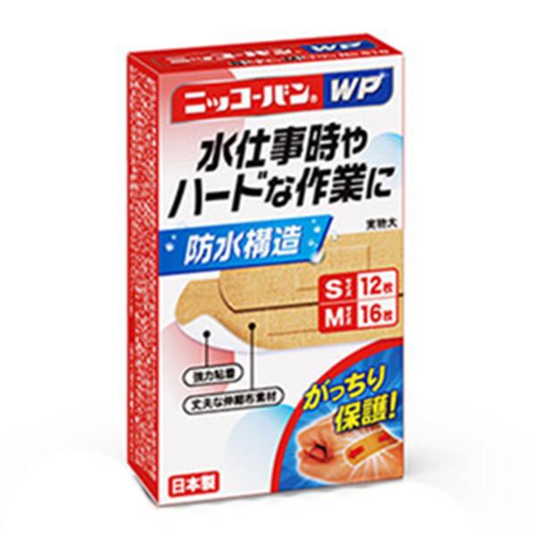 jbR[oWP No.510(STCY 12 /MTCY 16)