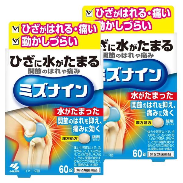小林製薬 ミズナイン 60錠 越婢加朮附湯 関節 はれ 痛み