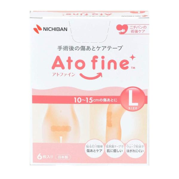 j`o Agt@C LTCY 6 [֑