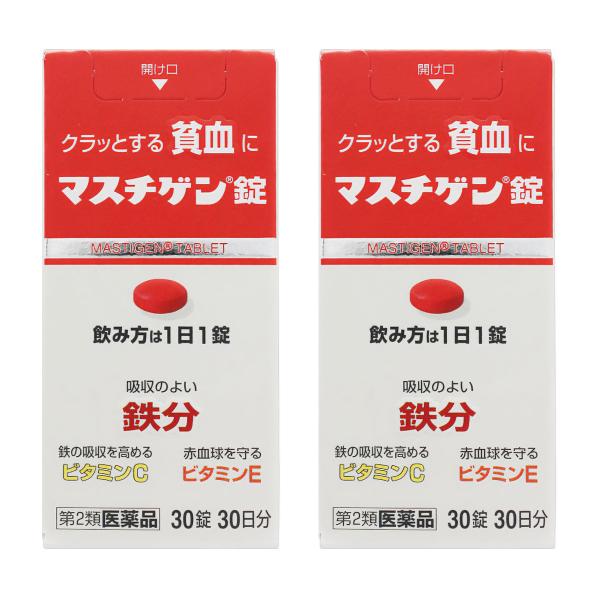 日本臓器製薬 マスチゲン錠 30錠 貧血 鉄分 ビタミンE ビタミンC