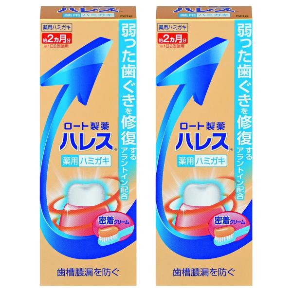 ハレス ハミガキ (50g)×2個セット 医薬部外品 メール便送料無料