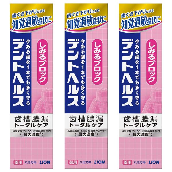 デントヘルス 薬用ハミガキ しみるブロック 28g×3個セット 医薬部外品 メール便送料無料