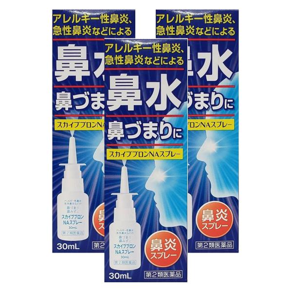 雪の元本店 スカイブブロンNAスプレー 鼻炎 鼻水 鼻づまり