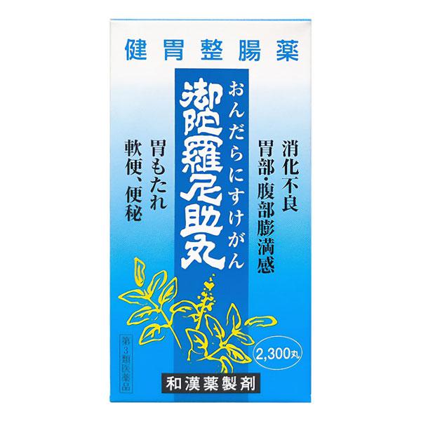 二反田薬品工業 【第3類医薬品】御陀羅尼助丸 2300丸 : くすりの勉強堂
