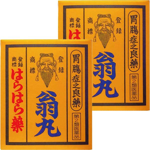 特徴 「翁丸」は、はら「上腹ー胃、胆のう、すい臓、 ひ臓など）とはら（下腹ー小腸、大腸）の両方の自律神経に作用して自己治癒能力を高める生薬の中で、特に気剤（気を高める薬剤）をえりすぐって組み合わせた純漢方薬です。 効果・効能 食欲不振（食欲...