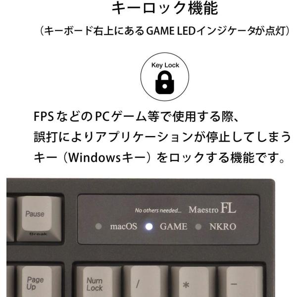アーキス メカニカル キーボード Maestro 開店記念セール Fl 英語配列 キー数 104 Cherry 付属 静音 キートップ引き抜き工具 Mx