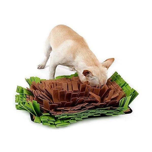 Petneces ペットおまちゃ 犬 猫 ノーズワーク 鼻づまり 餌マット 嗅覚活用 遊び場所 訓練毛布 集中力向上 性格改善 運動不足 ス Prettyfunnyballoons Com