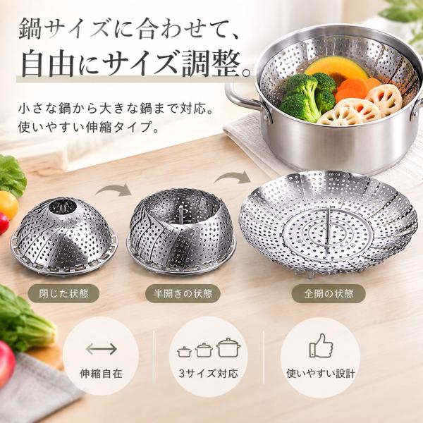 benujp_steamer04_4_d_20260911175128