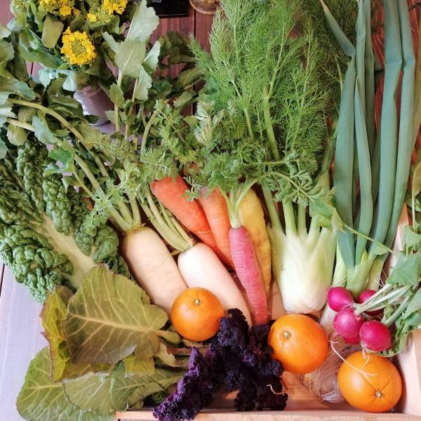 [Release date: March 1, 2018]大分県由布市の山間の村にある「農園てとて」さんは、環境になるべく影響を与えない持続可能な農業を目指しています。農薬や化学肥料を一切使わず、上質な肥料などを使って、一つひとつ丁寧につく...