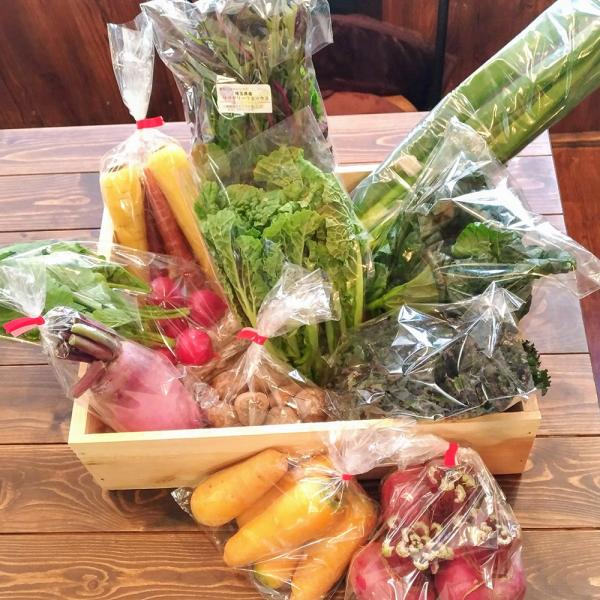 秩父山系の麓の豊かな有機の土壌の農園で、丹精込めてつくられた有機野菜たち