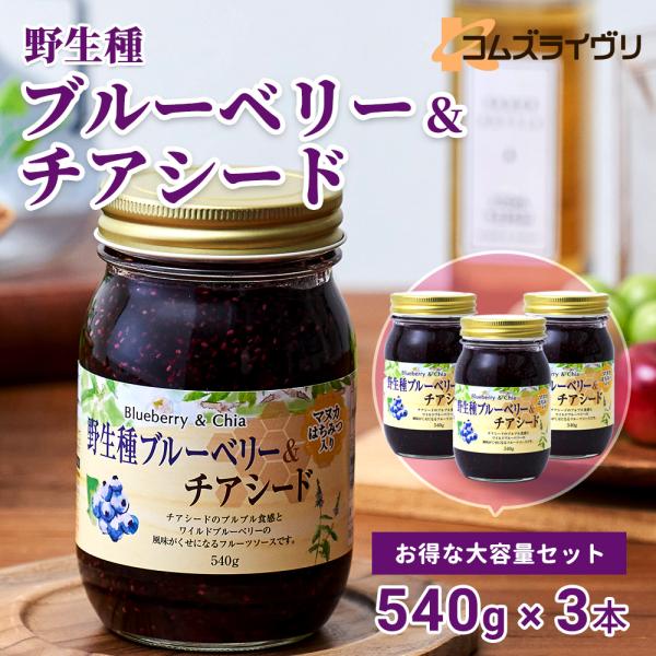 チアシードのぷるぷる食感と、ワイルドブルーベリーの風味がくせになるフルーツソースです。マヌカ蜂蜜も配合。※開封後は冷蔵庫に保存し、お早めにお召し上がりください。原材料表示：果糖ぶどう糖液糖（国内製造）、ブルーベリー果実、チアシード、ぶどう糖...