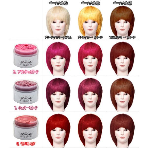 エンシェールズ カラーバター 0g 3個セット 送料無料 ピンク シルバー アッシュ ヘアカラー Buyee Buyee Japanese Proxy Service Buy From Japan Bot Online