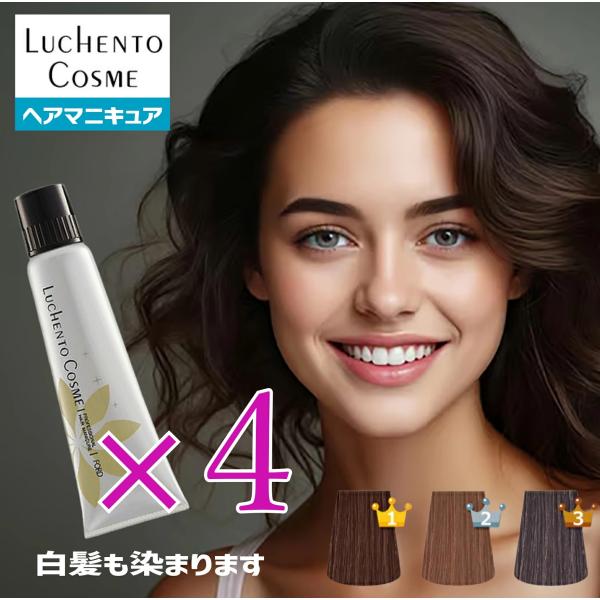 ヘアマニキュア 白髪用 ルーチェントコスメ 4本セット 白髪染め  ブラウン ミルクティー アッシュ ブラック 美容室 女性用 カラーリング剤 サロン専用 業務用