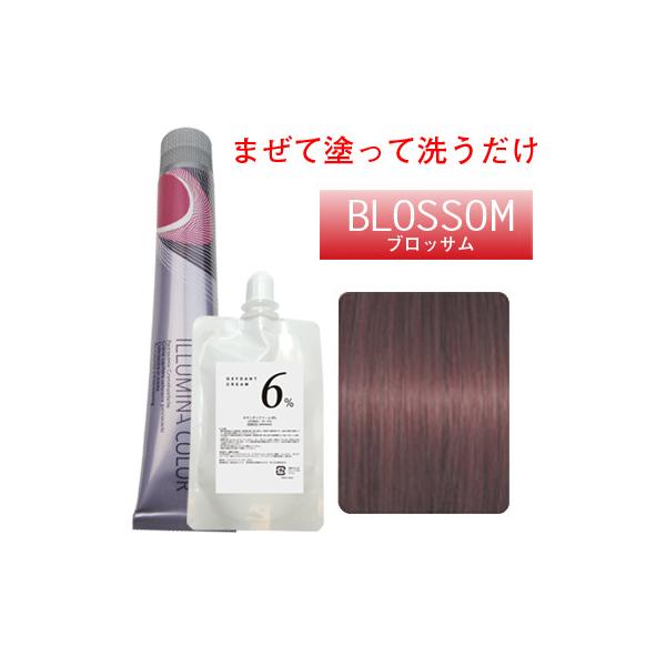 berryscosme_illumina-blossom8-oxmu