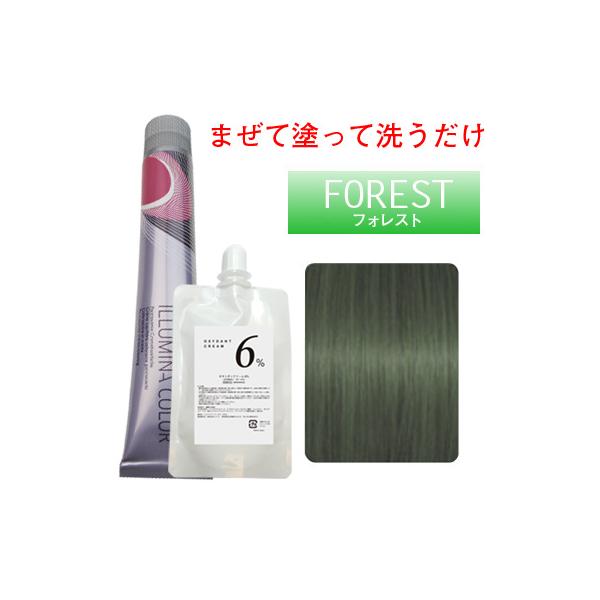 ウエラ イルミナカラー オキシ100ml セット フォレスト 6 ウエラ イルミナカラー オキシ100ml セット フォレスト 6