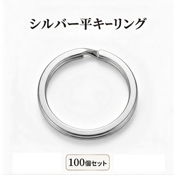 キーリング シルバー 100個セット   二重リング キーホルダー 金具 リング パーツ 32mm 内径27mm アクセサリーパーツ ハンドメイド まとめ買い 送料無料