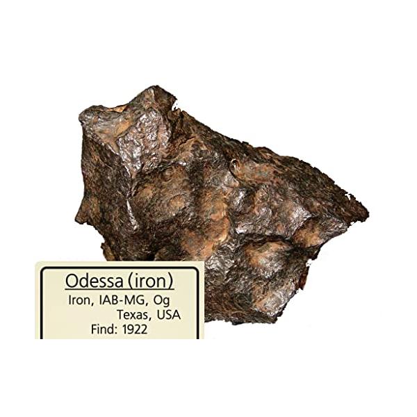 【ご購入後の当店からの連絡はご登録のメールアドレスに通知いたします。必ずご確認ください】1922年以前アメリカ、テキサス州（Odessa. Texas.U.S.A.）で発見オリジナル標本ケース： 82 × 60 × H20mm (本体はポリ...