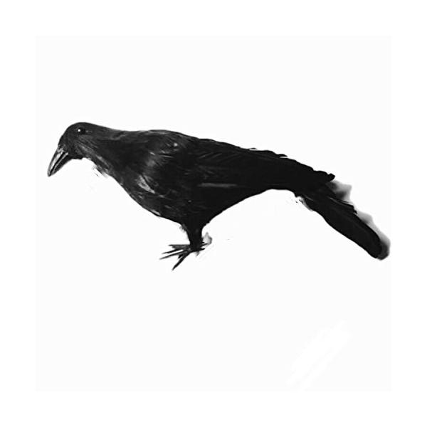 Felizly カラス オブジェ バード 置物 装飾 ARTIFICIAL BIRDS カラス カラス除け 鳥よけ 退治 駆除 フィギュア リアル 怖