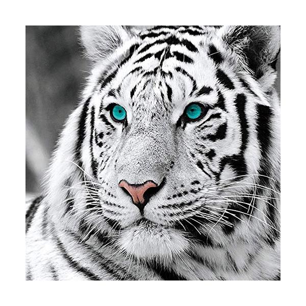 【ご購入後の当店からの連絡はご登録のメールアドレスに通知いたします。必ずご確認ください】??[ユニークな装飾] -5Dダイヤモンド絵画は、寝室、ダイニングルーム、バスルーム、キッチン、書斎、自宅、オフィスの装飾に非常に適しているため、これら...