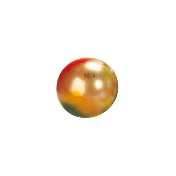 GYMNIC(ギムニク) ギムニクアルテ 65 BRQ 【Wアクションポンププレゼント】 LP-9536