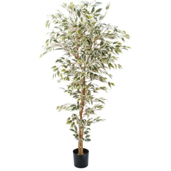 xW~tBJXnCA 180cmbGLP-1310 A[eBtBVO[ lHϗtA tO[