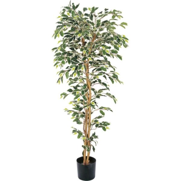 xW~tBJXnCA 150cmbGLP-1320 A[eBtBVO[ lHϗtA O[