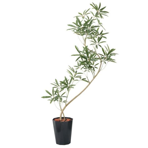 VFtAKXeB 130cm uE|bgbGLPS-1532BRS A[eBtBVO[ lHϗtA tO[