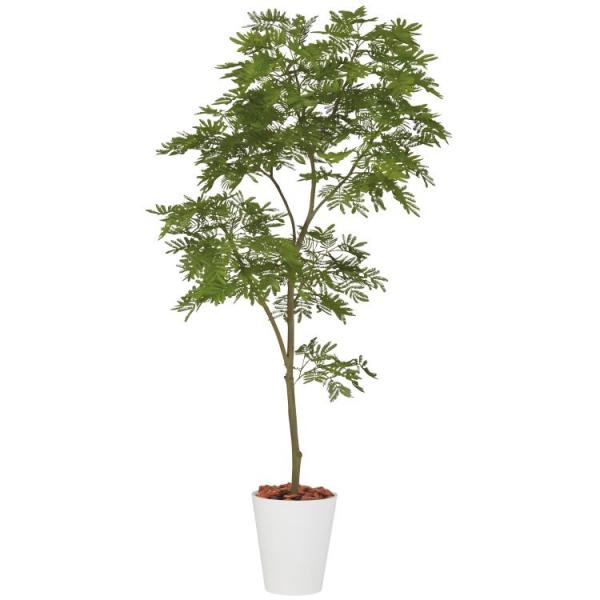 Go[tbV1.5mbGLPT-204 A[eBtBVO[ lHϗtA tO[