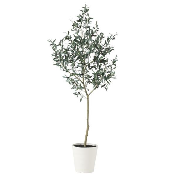 �u���b�N�I���[�u FST W80×H180cm 91626 �A�[�e�B�t�B�V�����O���[�� �l�H�ϗt�A�� ���t���O���[��