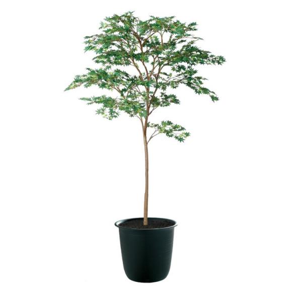 }~W GREEN FST W110×H180cm 91759 A[eBtBVO[ lHϗtA tO[