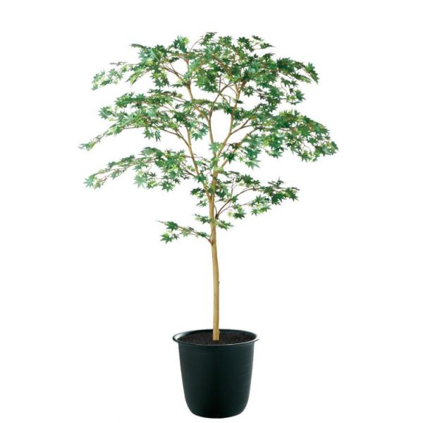 }~W GREEN FST W100×H150cm 91760 A[eBtBVO[ lHϗtA tO[