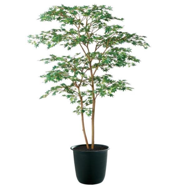 }~W GREEN FST W100×H150cm 91764 A[eBtBVO[ lHϗtA tO[