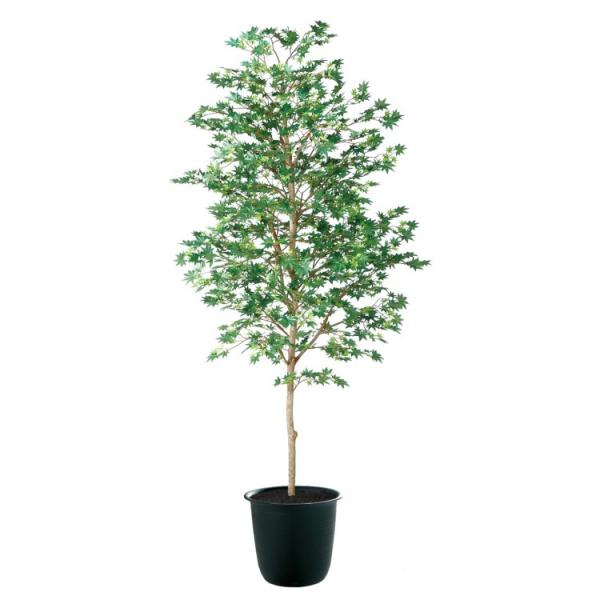 }~W  W70×H150cm 91767 A[eBtBVO[ lHϗtA tO[