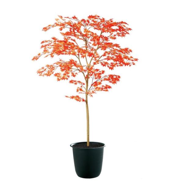 }~W RED FST W100×H150cm 91769 A[eBtBVO[ lHϗtA tO[