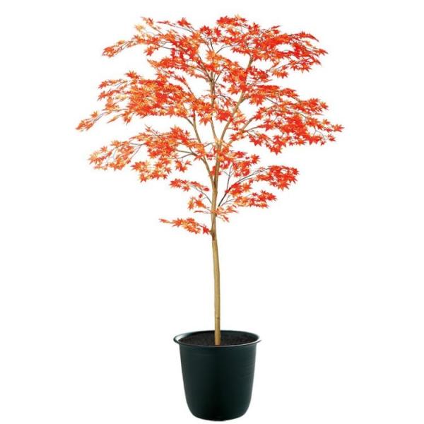 }~W RED FST W100×H150cm 91773 A[eBtBVO[ lHϗtA tO[