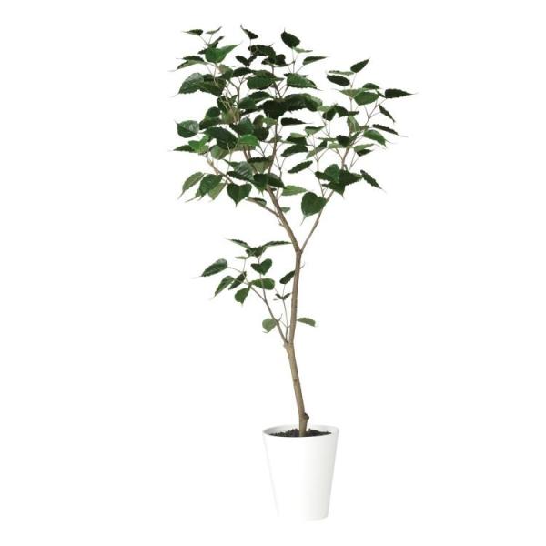 �C���h�{�_�C�W�� FST W80×H180cm 91855 �A�[�e�B�t�B�V�����O���[�� �l�H�ϗt�A�� ���t���O���[��