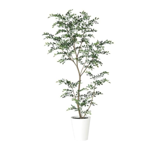 �g�l���R FST W80×H180cm 91888 �A�[�e�B�t�B�V�����O���[�� �l�H�ϗt�A�� ���t���O���[��