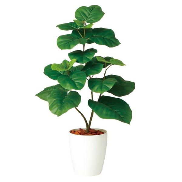 Ex[^ W50×H80cm 98923 A[eBtBVO[ lHϗtA tO[