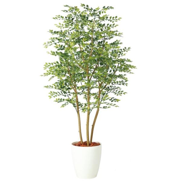 ゴールデンリーフ FST 140cmの魅力と選び方