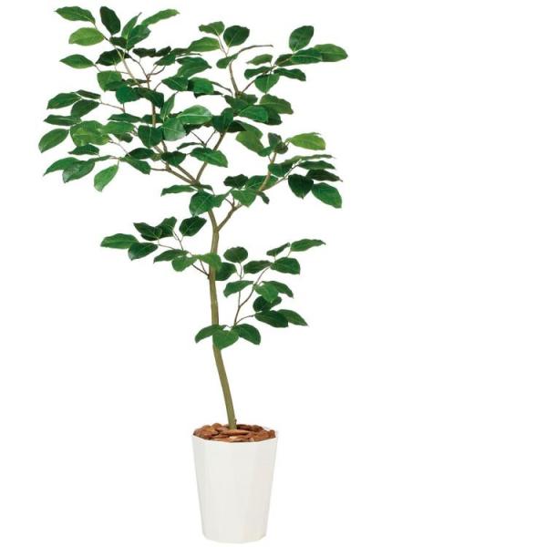 �x���K���{�_�C�W�� FST W80×H150cm 99116 �A�[�e�B�t�B�V�����O���[�� �l�H�ϗt�A�� ���t���O���[��