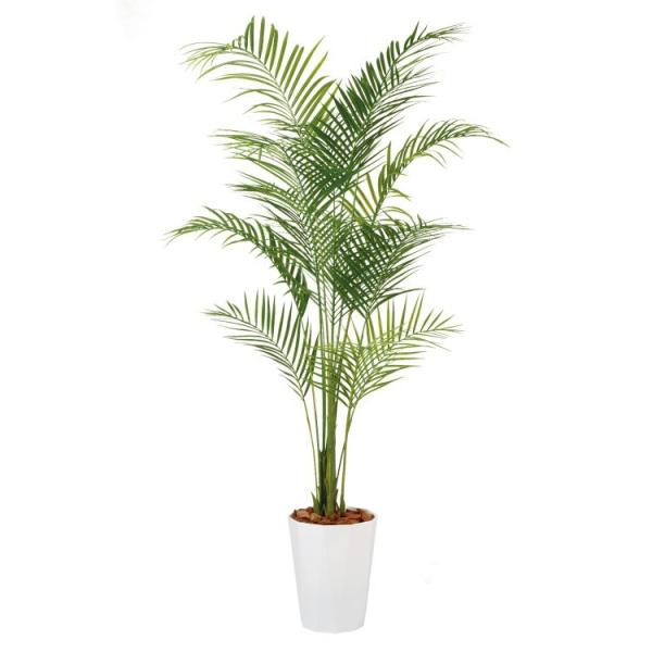 �A���J���V PE W100×H200cm 99153 �A�[�e�B�t�B�V�����O���[�� �l�H�ϗt�A�� ���t���O���[��
